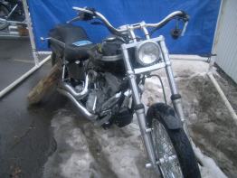 HD Softail standard
