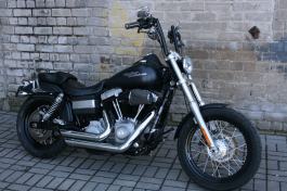 HD Street Bob