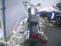 HD Softail standard
