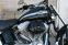 HD Softail Aniverrsary