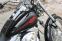HD Softail standard 01