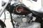 HD Softail Aniverrsary