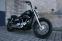HD Street Bob