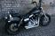 HD Street Bob