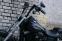 HD Street Bob