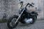 HD Street Bob