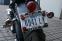 HD Street Bob