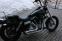 HD Street Bob