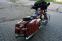 HD Electra Standard 2006